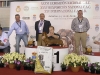 int.-grupo-iv