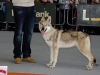 dsc_5532