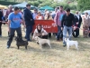 IMG_0295