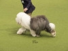 _dsf2956