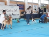 IMG_1938