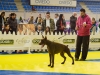 2014_04_12 PERROS ASTURCON_0419