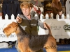 2013_06_08-perros_0778