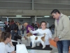 dsc_6337-nef_