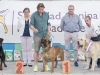 nava2017_098