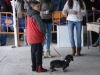 tineo_2012_144