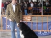 tineo_2012_166