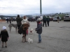 tineo_2012_168