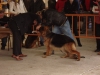 tineo_2012_175