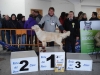 tineo_2012_24