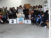tineo_2012_25