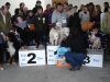 tineo_2012_27