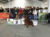 tineo_2012_3
