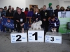 tineo_2012_33