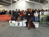 tineo_2012_4