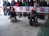 tineo_2012_44