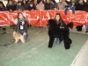 tineo_2012_45