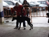 tineo_2012_88