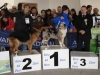 tineo_2012_92