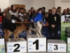tineo_2012_93
