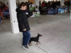 tineo_2012_96