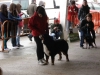 tineo_2012_99