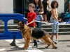 caninaasturianatrubia2014-137