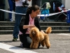 caninaasturianatrubia2014-138
