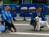 caninaasturianatrubia2014-147