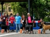 caninaasturianatrubia2014-148