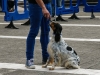 caninaasturianatrubia2014-156