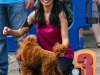 caninaasturianatrubia2014-163