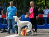 caninaasturianatrubia2014-166