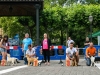 caninaasturianatrubia2014-172