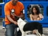 caninaasturianatrubia2014-173