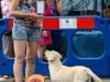 caninaasturianatrubia2014-176