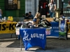 caninaasturianatrubia2014-180