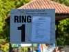 caninaasturianatrubia2014-185