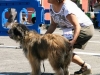 caninaasturianatrubia2014-28