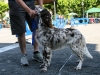 caninaasturianatrubia2014-29