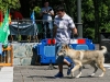 caninaasturianatrubia2014-30