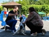 caninaasturianatrubia2014-37