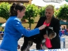 caninaasturianatrubia2014-49