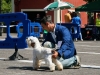 caninaasturianatrubia2014-51