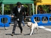 caninaasturianatrubia2014-59