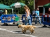 caninaasturianatrubia2014-74