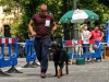 caninaasturianatrubia2014-82