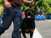 caninaasturianatrubia2014-83