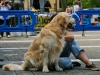 caninaasturianatrubia2014-87