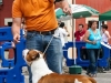 caninaasturianatrubia2014-99